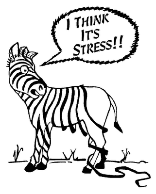 Responding to Stress