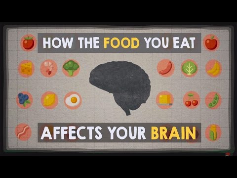 How the Food You Eat Affects Your Brain