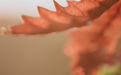 Be Well: Navigating a New Groove